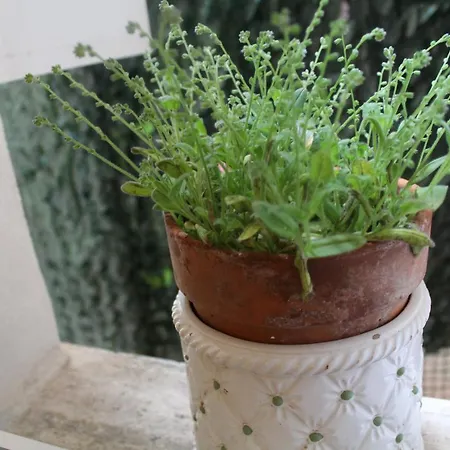 بيت للعطل Giali